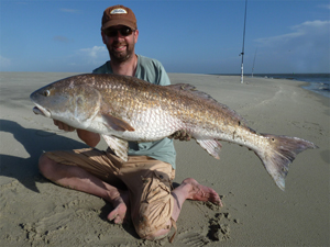 Red Drum 43'