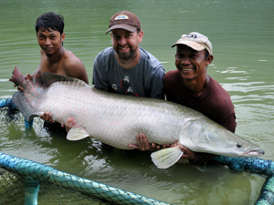 Arapaima 180lb 