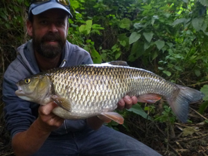 Chub 6lb 2oz 