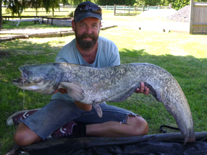 Wels Catfish 30lb 3oz