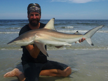 Blacktip Shark, 2018