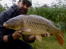 Fully Scaled Mirror 14lb 0oz, 2025