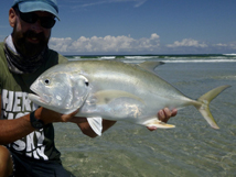 Jack Crevalle 8lb+, 2023