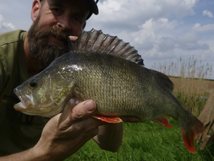 Perch 3lb 2oz, 2026
