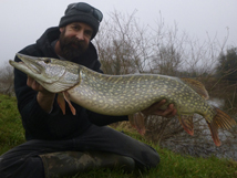 Pike 12lb 2oz, 2024