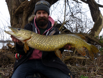 Pike 13lb 7oz, 2019