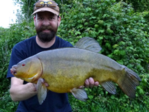 Tench 7lb 12oz, 2017