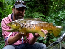 Wild Brown Trout, 2021