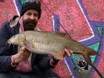 Urban Barbel 7lb 3oz, 2021