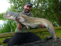 Wels Catfish 33lb 6oz, 2022